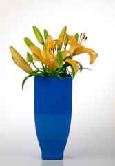 Yellow lily in a blue flower vase isolate in white background