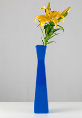 Yellow lily in a blue flower vase isolate in gray background