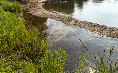 Water reflection with green bush