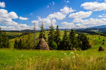 Haystack Rock in the Carpathian