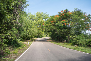 Natural forests and beautiful mountains in countryside Ratchaburi Thailand