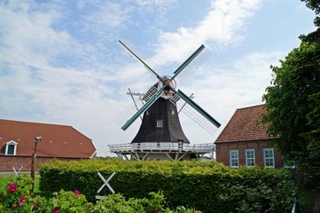 Plakat Seriemer Mühle