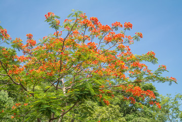 Natural forests and beautiful mountains in countryside Ratchaburi Thailand