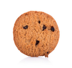 Chocolate chip cookie on white background