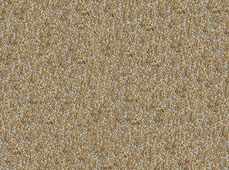 natural background of nuts almonds set of kernels texture of shells of stones on the beach