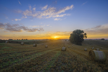 Obraz premium Sunrise over the field after the harvest