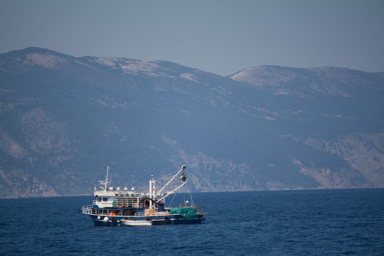 Sobrepesca Images Browse 5 Stock Photos, Vectors, and Video Adobe Stock