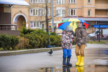 Two little boys, squat on a puddle, with little umbrellas. friendship communication concept