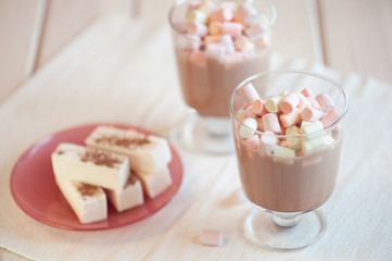 Cup of hot chocolate with marshmallows