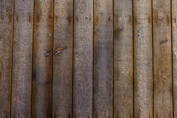  Standing brown wall planks that form a house wall