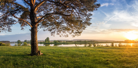 летний пейзаж на Уральской реке с деревьями на берегу, Россия, июнь,