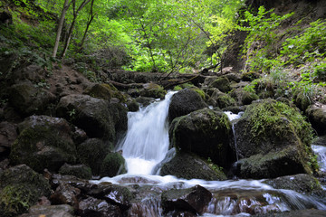 Naklejka na ściany i meble Waterfall on the Mountain Stream
