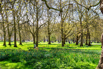 Green park in London during warm spring day. People sitting on the grass having lunches. Amazing spring spirit in UK.