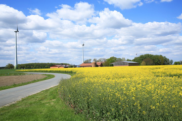 Idyllic landscape in Muensterland, Germany