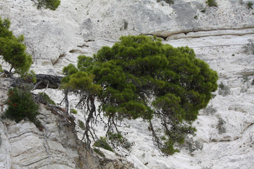 puglia