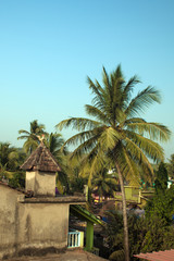 Fototapeta na wymiar Tropical landscape with a palm tree and a roof