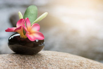 Fototapeta na wymiar Vase of plumeria flower on blurred background