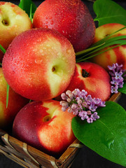 Close-up of a ripe juicy nectarine with water drops