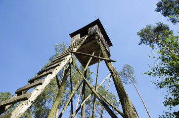 View of a wooden hunting post in a forest under blue sky