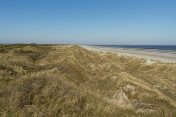 Fototapeta na wymiar Dünengebiet am Strand am Wattenmeer