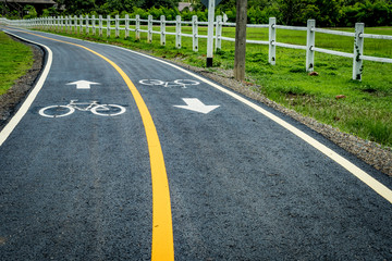Asphalt bicycle road with yellow line