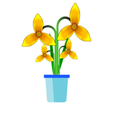 Houseplant flat design style illustration.