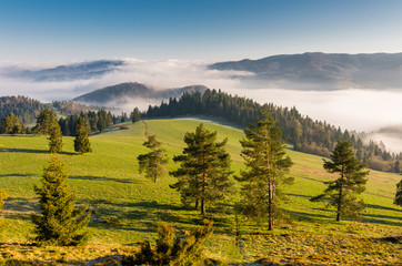 Morning panorama of Pieniny and Beskidy mountains, Poland landscape © tomeyk