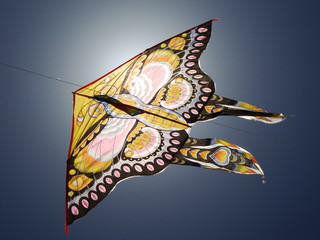 A Kite In The Sky