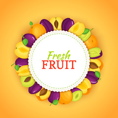 Round colored frame composed of apricot plum. Vector card illustration. Fruit label.