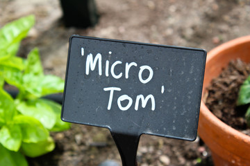 Tomatoe plant label