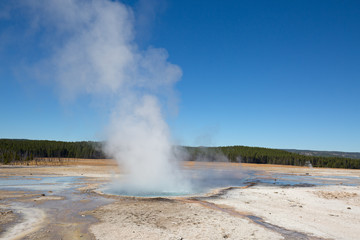 Lower geyser basin