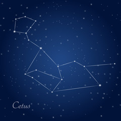 Cetus, whale, constellation at starry night sky