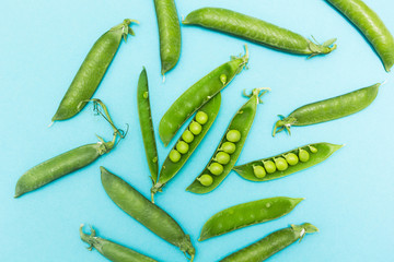 Pods of green peas on a blue background.