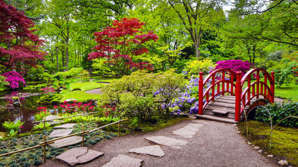 Traditional Japanese Garden in The Hague. - obrazy, fototapety, plakaty