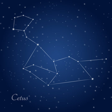 Cetus, whale, constellation at starry night sky