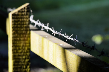 Barbed Wire Fencing