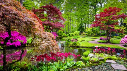 Selbstklebende Fototapete Garten Traditioneller japanischer Garten in Den Haag.
