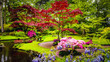 Traditional Japanese Garden in The Hague.