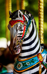 zebra horse ride