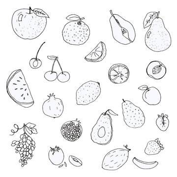 Set of hand-drawn sketch of fruits and berries, vector isolated on white