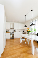 modern fancy kitchen interior