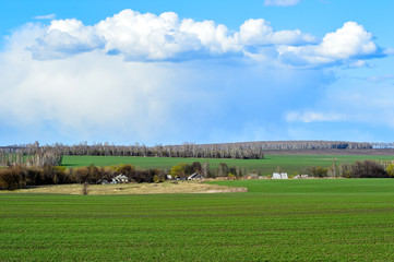 Fototapeta na wymiar Rural landscape with a green field, clouds and farm