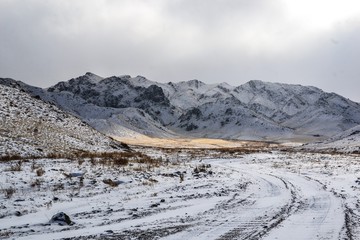 Gobi of Mongolia