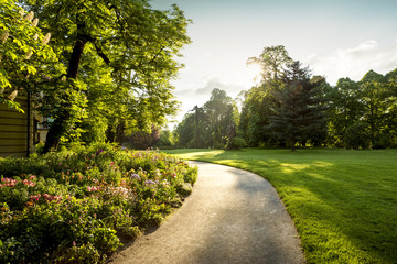 Panorama of city park with footpath and flowers - obrazy, fototapety, plakaty