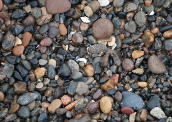 Small wet stones by the ocean