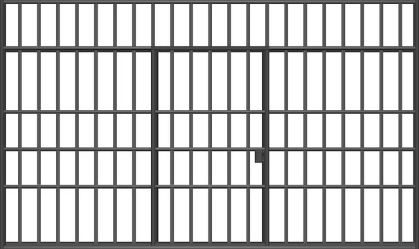 Prison bars vector