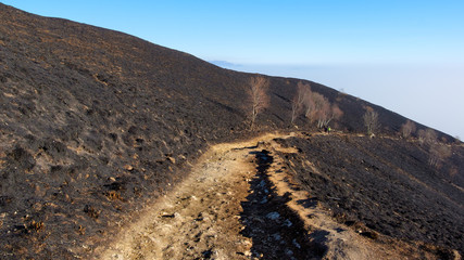 Fototapeta na wymiar Mountain path across burnt land