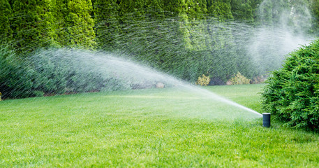 Irrigation of the green grass with sprinkler system. - obrazy, fototapety, plakaty