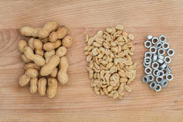 evolution from food to technology