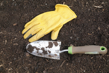 Obraz premium garden shovel and glove in the flower bed